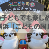 こどもの国アイキャッチ