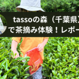 tassoの森（千葉県）で茶摘み体験！レポート