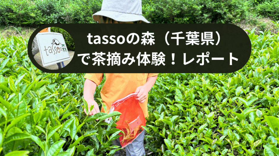 茶摘みアイキャッチ