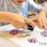 【1年生】夏休みの自由研究に！朝顔の簡単「こすり染め」作品